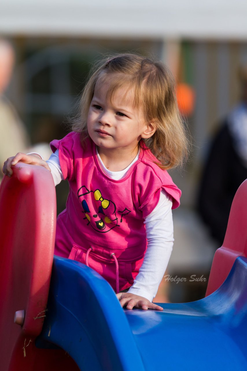 Bild 102 - Wiemersdorfer Maibaum